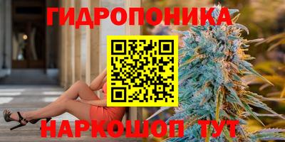 a pvp Пенза