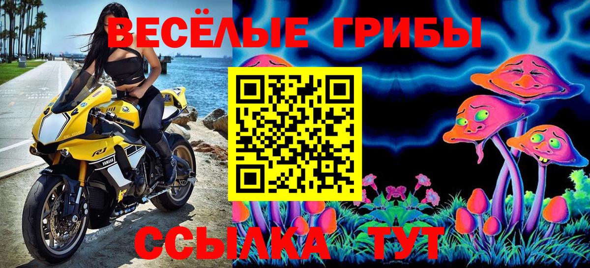 Галлюциногенные грибы MAGIC MUSHROOMS Сызрань