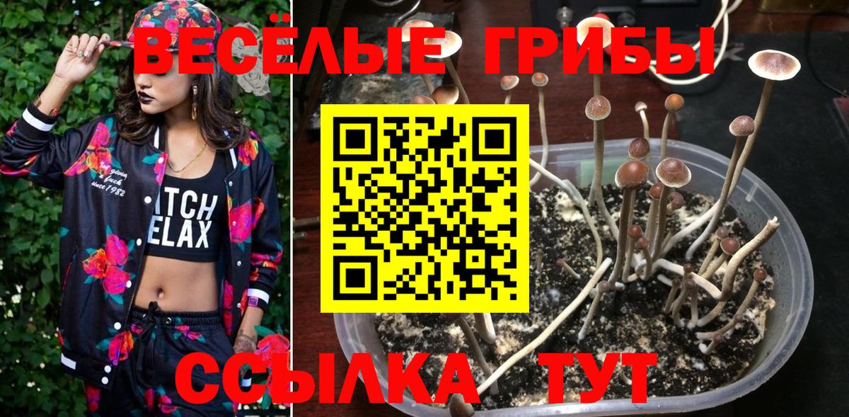 Сызрань  Псилоцибиновые грибы Magic Shrooms  Вход с VPN 